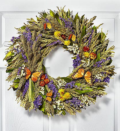 Preserved Butterfly Wreath - 22"